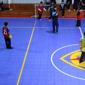 Día de la Actividad Física